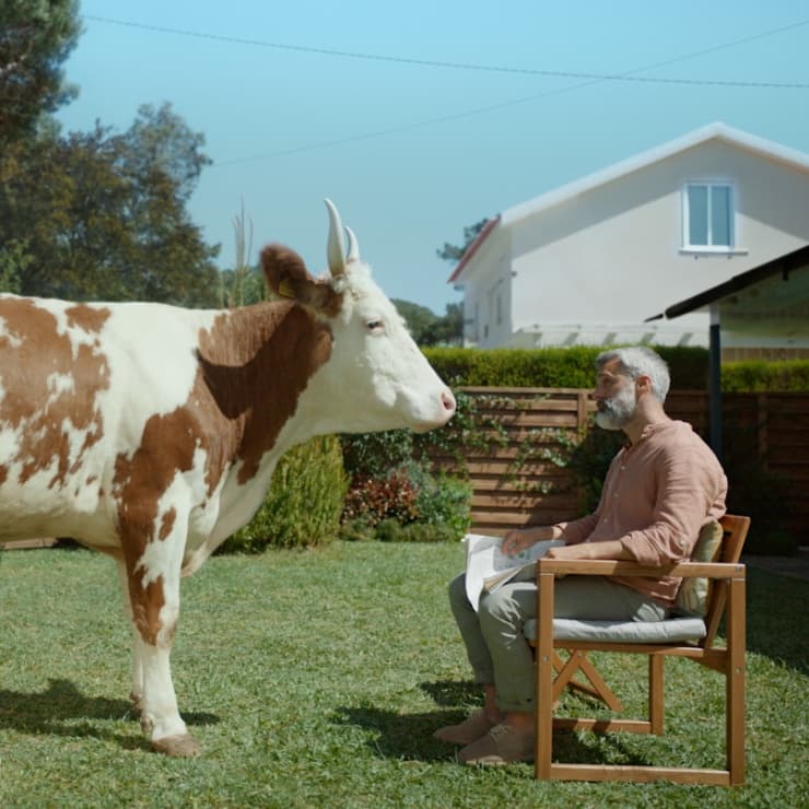 Promaz and Happiness take the bull by the horns